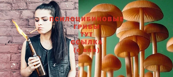 тгк Медвежьегорск