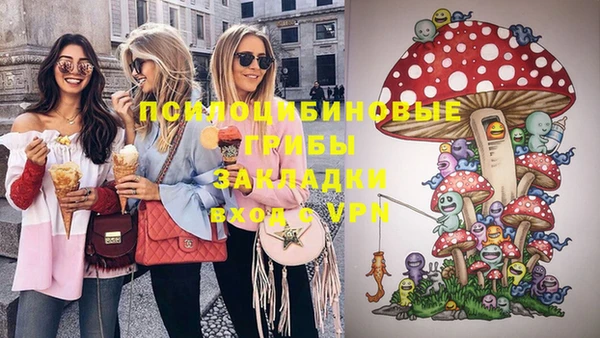 тгк Медвежьегорск