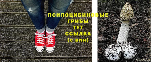 тгк Медвежьегорск