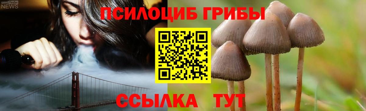купить наркоту  Галлюциногенные грибы MAGIC MUSHROOMS  Вход с VPN  Элиста 