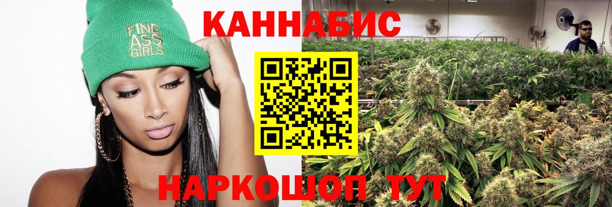 Марихуана White Widow  Бошки марихуана тримм  Шишки марихуана сатива  Вход с VPN  Элиста 